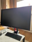 Skärm + Headset (BenQ + Xtrfy)