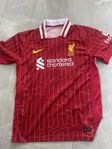 Signerad Liverpool tröja 2024/2025, Salah, Van Dijk mfl