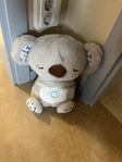 Koalanalle