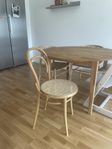 thonet no14 rotting 