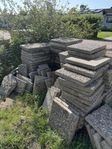 Dansk sjösten