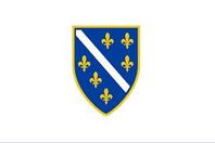 Liljan Flagga (Gamla Bosniska flagga)