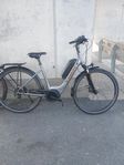trek verve+ 1
