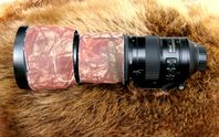 Objektiv Nikon AFS Nikkor 200-500 mm 5,6 E ED