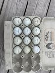 12st - Titleist ProV1:or