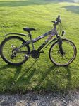 Peakcykel 24 ”
