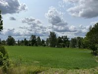 Ledig jaktmark på 95ha utanför Växjö 