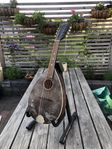 levin Mandolin