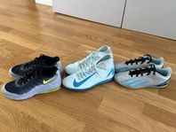 Sportskor 