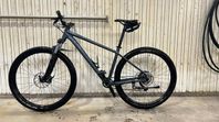 Specialized Rockhopper comp, L