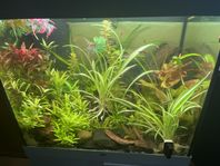 Akvarium 200liter