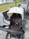 Bugaboo buffalo