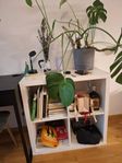 IKEA kallax shelf