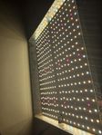 odlings lampa Mars Hydro TS1000
