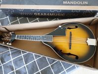 Mandolin