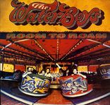 The Waterboys - Room to Roam - Vinyl LP