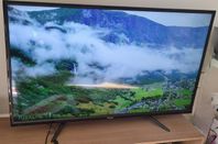 55inch 4K UHD TV