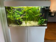 Juwel rio 125L