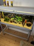 Akvarium 126 liters 