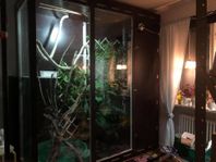 stort Terrarie nerplockat 
