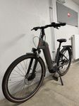 Selling electric bike Scott Sup park