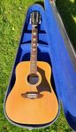  EKO 12 String Acoustic guitar