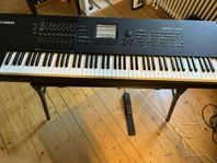 piano motif xf8