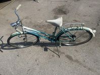 Retro DBS damcykel