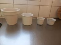4 st vita kruker