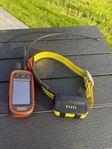 Garmin Alpha 100 med T5 halsband