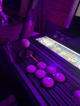 Arkadspel Vewlix/Chewlix