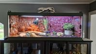 Terrarium B160xD50xH60
