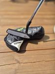 Cobra King sport 45 putter
