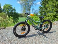 Scott Roxter 20"