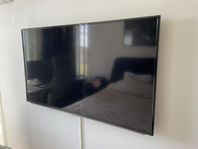 TV 42 tum