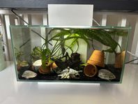 Silvrigt Fluval Edge 23L Akvarium