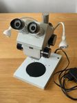 Carl Zeiss Jena GSZ Stereomikroskop