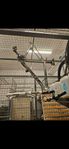 Mtb cykel ram