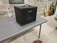 Basförstärkare 30 W