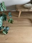 Ekparkett Bjelin Eket 3.0 XL