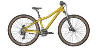 Scott roxter 26