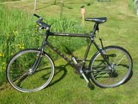 Miyata Carbon