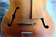 Stålsträngad  gitarr