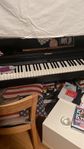 *Elpiano* Roland RP-501R Rosewood – Digitalpiano i toppski