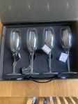 champagne glas