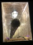 Unikt illusionsbord – iögonfalla