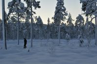 Gröshedens Vildmarksby - Sälen 
