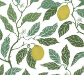 "Citrus Limon", design Maria Åström