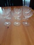 6st Likör glas med blometsning på glasen