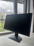 benQ WOWIE 24,5 360 hz esportskärm